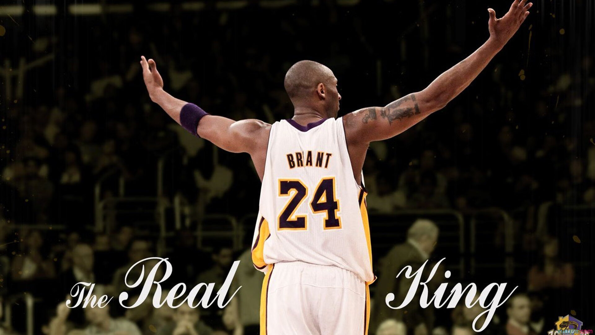 开云体育官方入口-电竞周边展销会，限量版手办等你来抢！，电竞周边报告